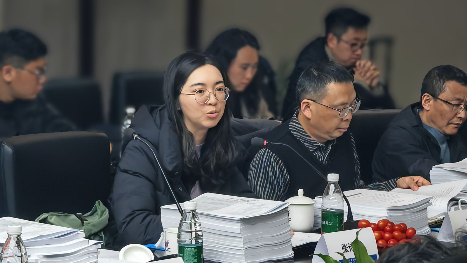 国家重点研发计划“风电机组用滑动轴承关键技术及应用”项目中期检查会召开-圈子社区