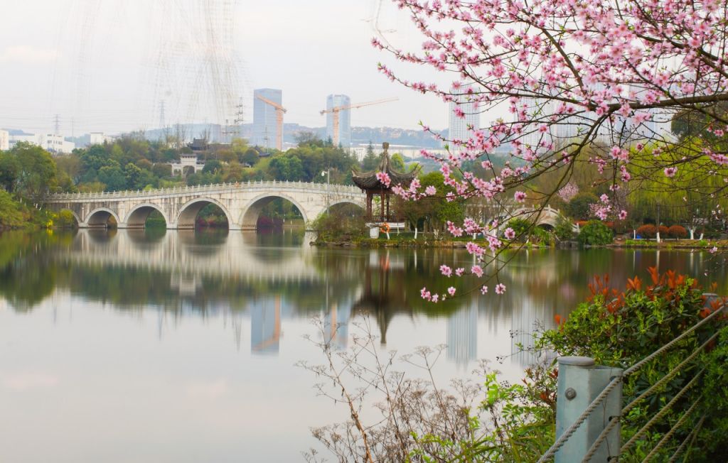 2025重庆桃花季全攻略，最佳赏花时段大公开-圈子社区