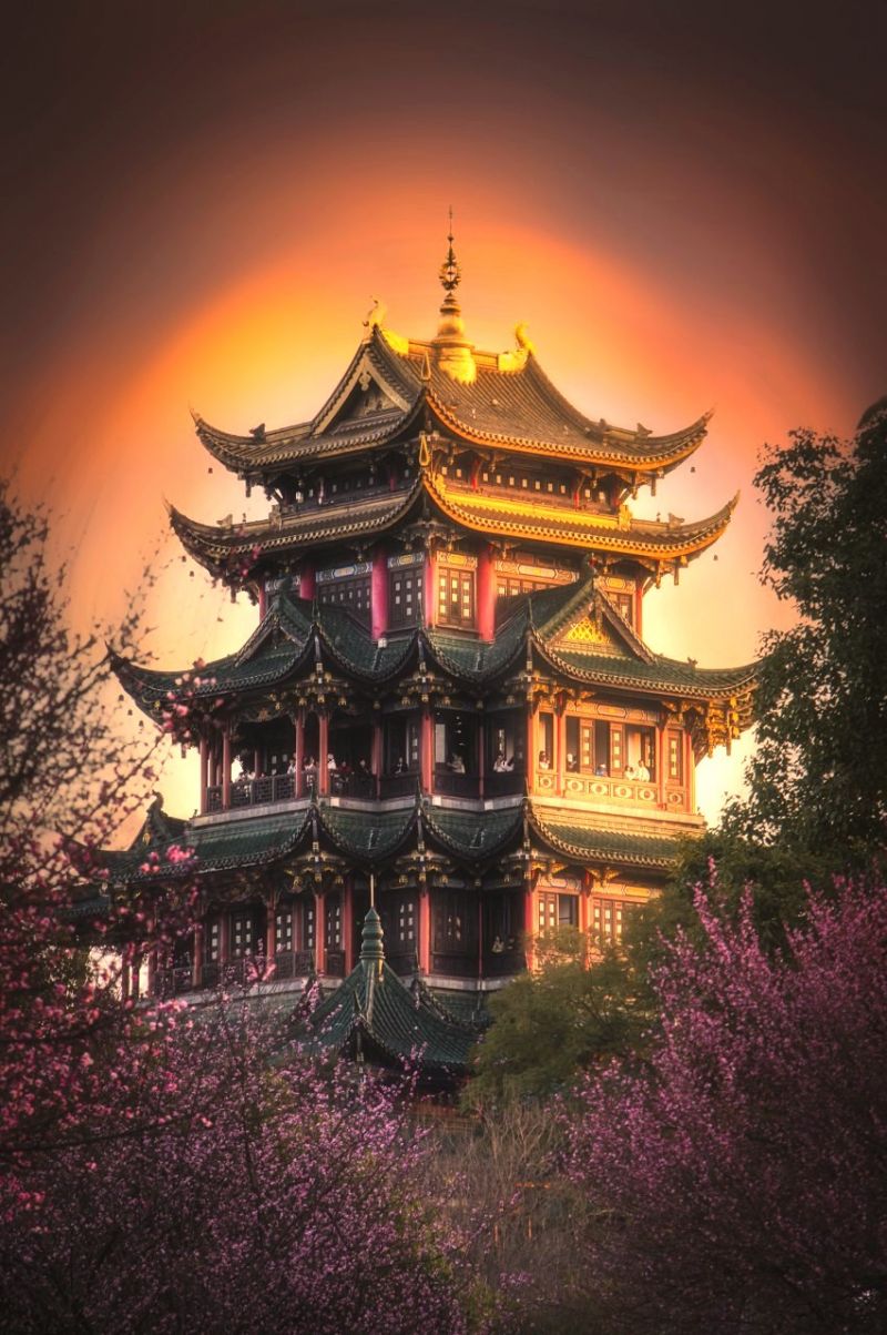 花期交通一键掌握，重庆主城赏桃宝典-圈子社区